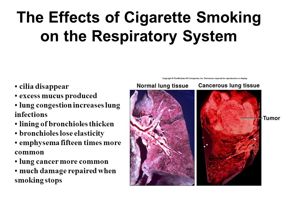 The Effects Of Smoking On Respiration